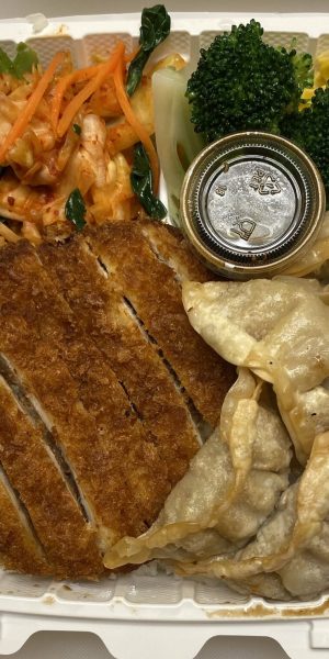 Chicken Katsu Mandoo